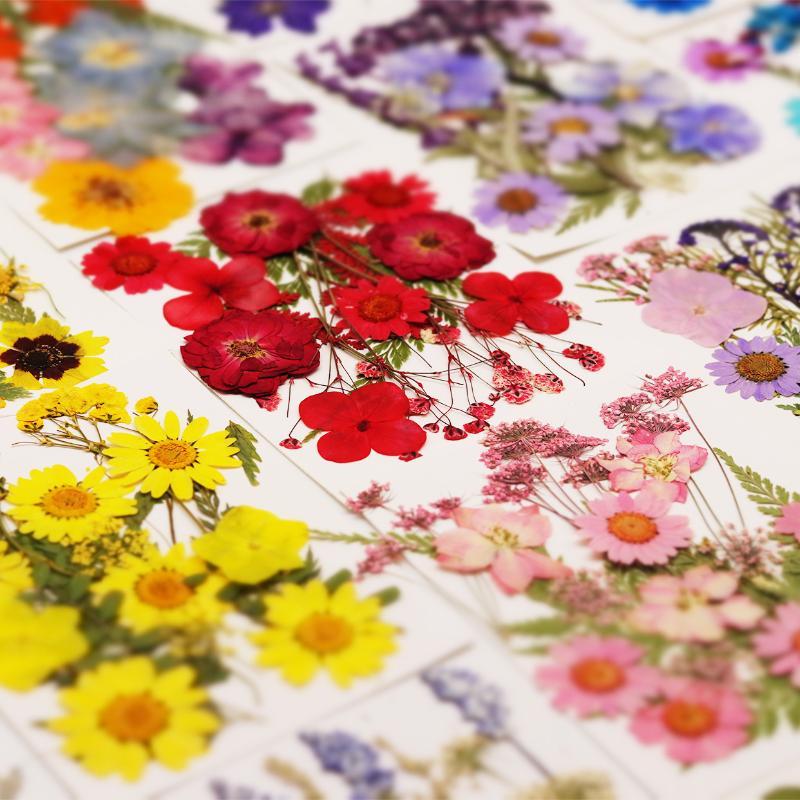 Resin Art And Jewelry - Real Natural Pressed Dried Plant Flowers