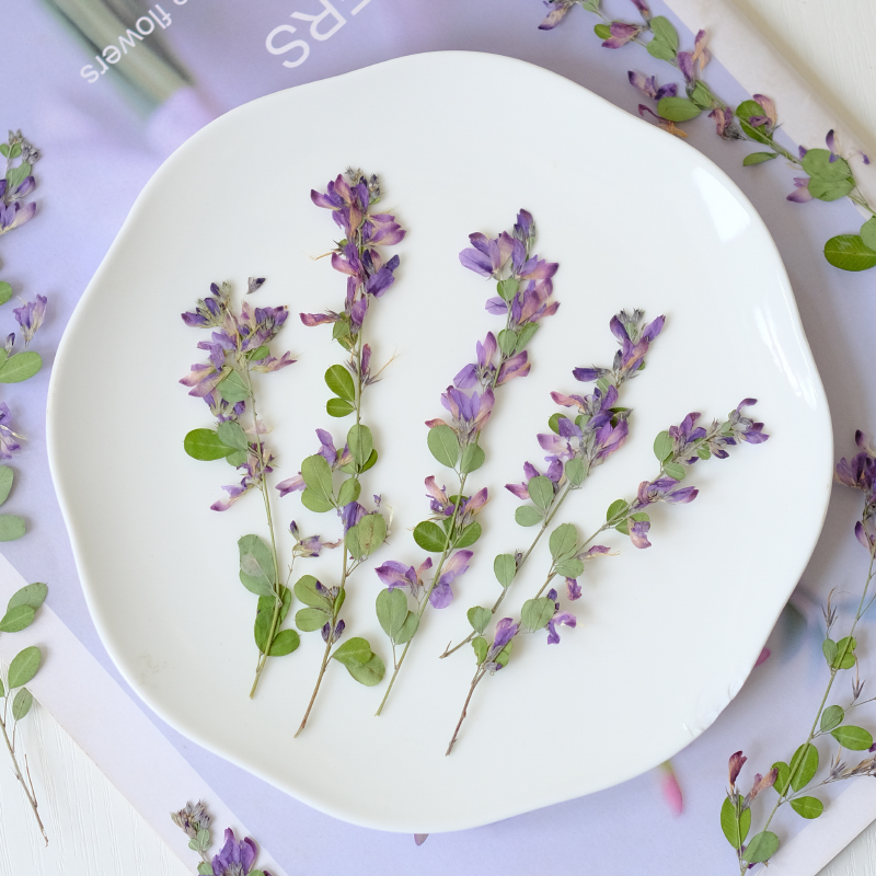 6pcs,nature Lespedeza Formosa  - Resin Art And Jewelry 评论和价格