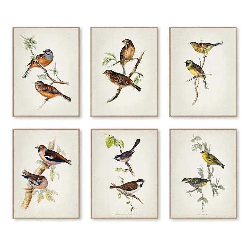 Wall Art Vintage The Bird Stan - Resin Art On Canvas 评论和价格