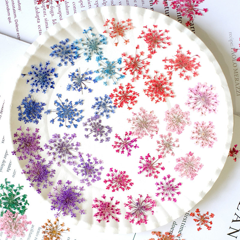 24pcs, 2-2.5cm, Nature Dyed Mi - Resin Art And Jewelry 评论和价格