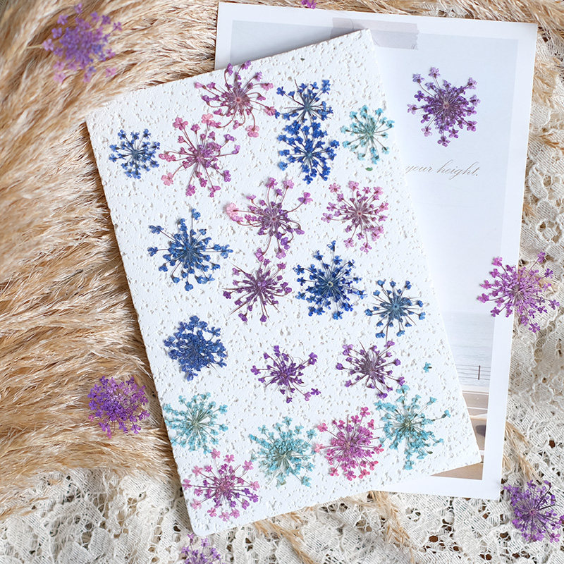 24pcs, 2-2.5cm, Nature Dyed Mi - Resin Art And Jewelry 评论和价格