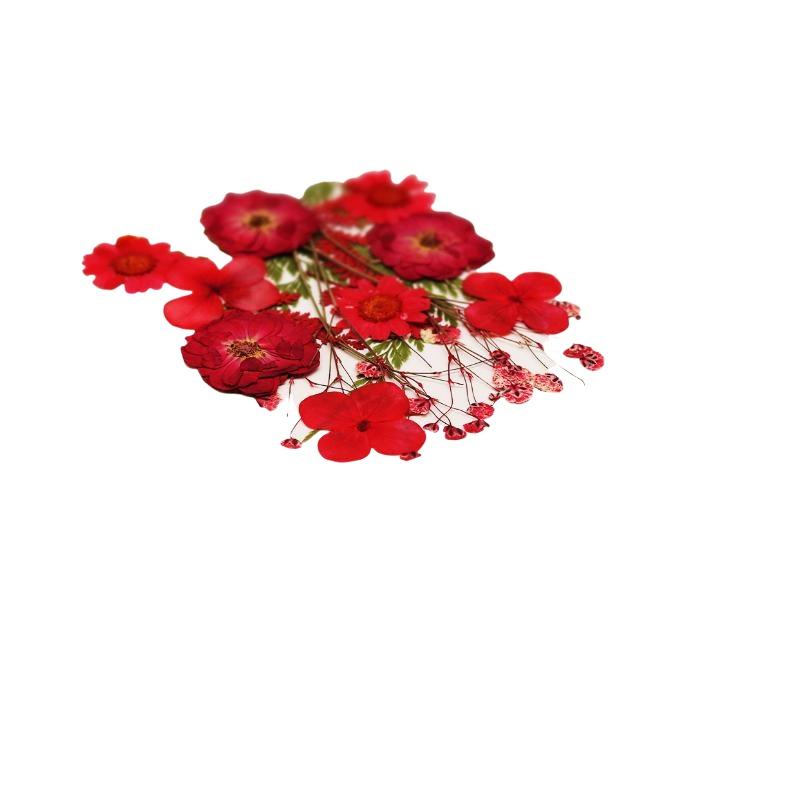 Real Natural Pressed Dried Pla - Resin Art And Jewelry 评论和价格